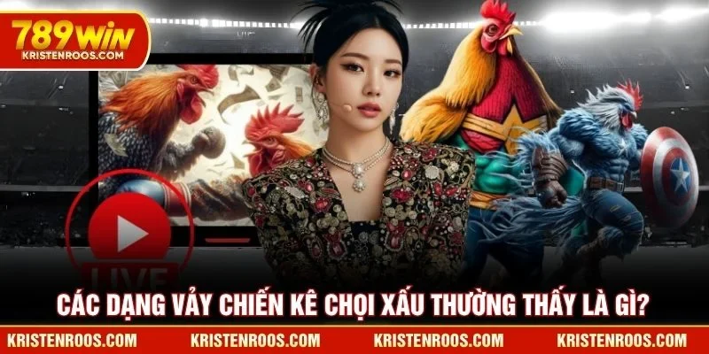 Vảy Gà Chọi Xấu Là Gì? Dấu Hiệu Cần Biết Khi Chọn Chiến Kê 3 Các dạng vảy chiến kê chọi xấu thường thấy là gì?