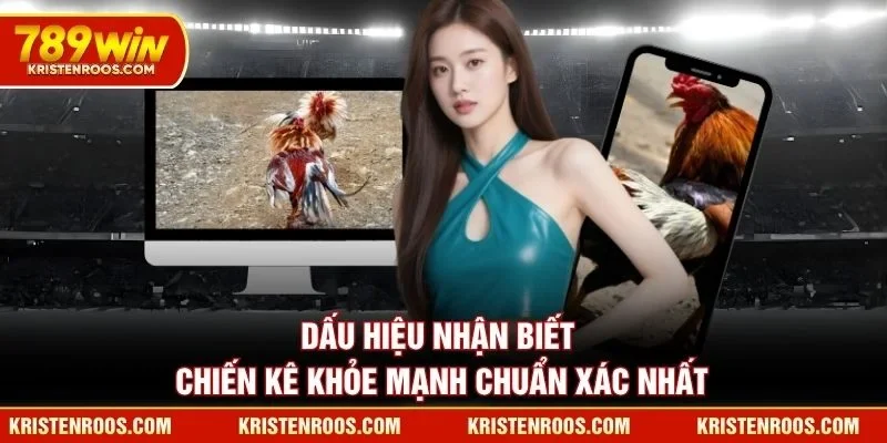Đá Gà 789WIN Tạo Nên Không Gian Giải Trí Đỉnh Cao Nhất 6 Dấu hiệu nhận biết chiến kê 789WIN khỏe mạnh chuẩn xác nhất