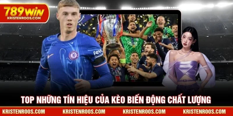 Top những tín hiệu của kèo biến động chất lượng Top những tín hiệu của kèo biến động chất lượng